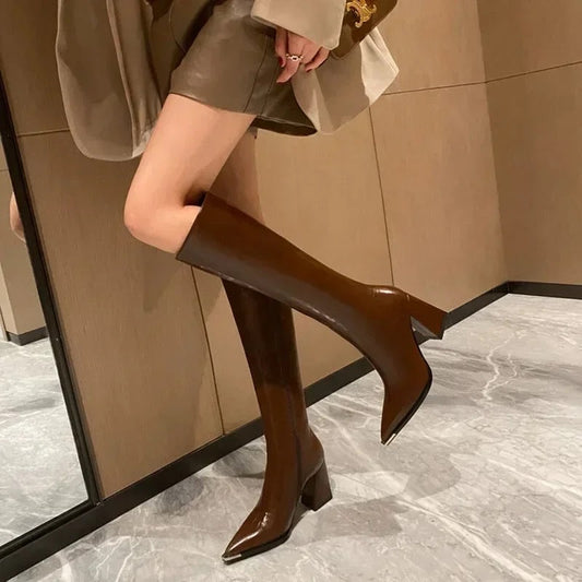 Knee high boots for women with pointed toe and block heel